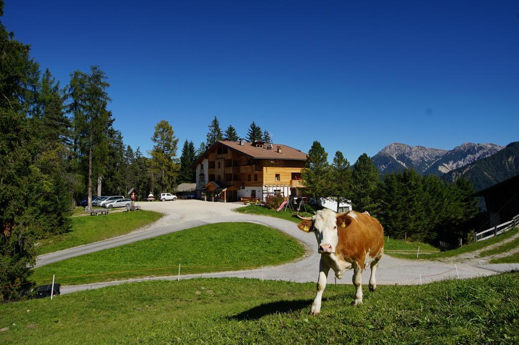 Chalet Frapes San Martino in Badia Bagian luar foto