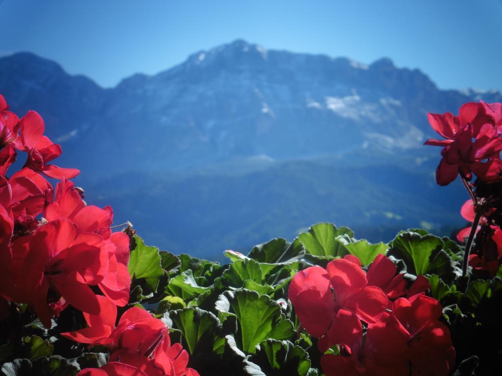 Chalet Frapes San Martino in Badia Ruang foto